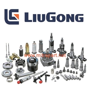 Spare part LIUGONG